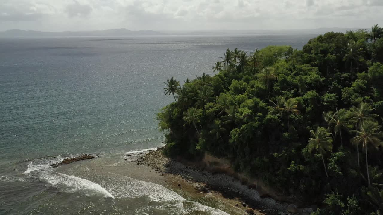 toma de drones que muestra una isla verde tropical con palmeras y costa rocosa durante el día soleado - bahía de samana, república dominicana