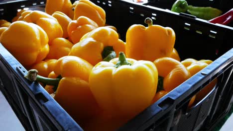 Yellow-bell-peppers-at-farmer's-market