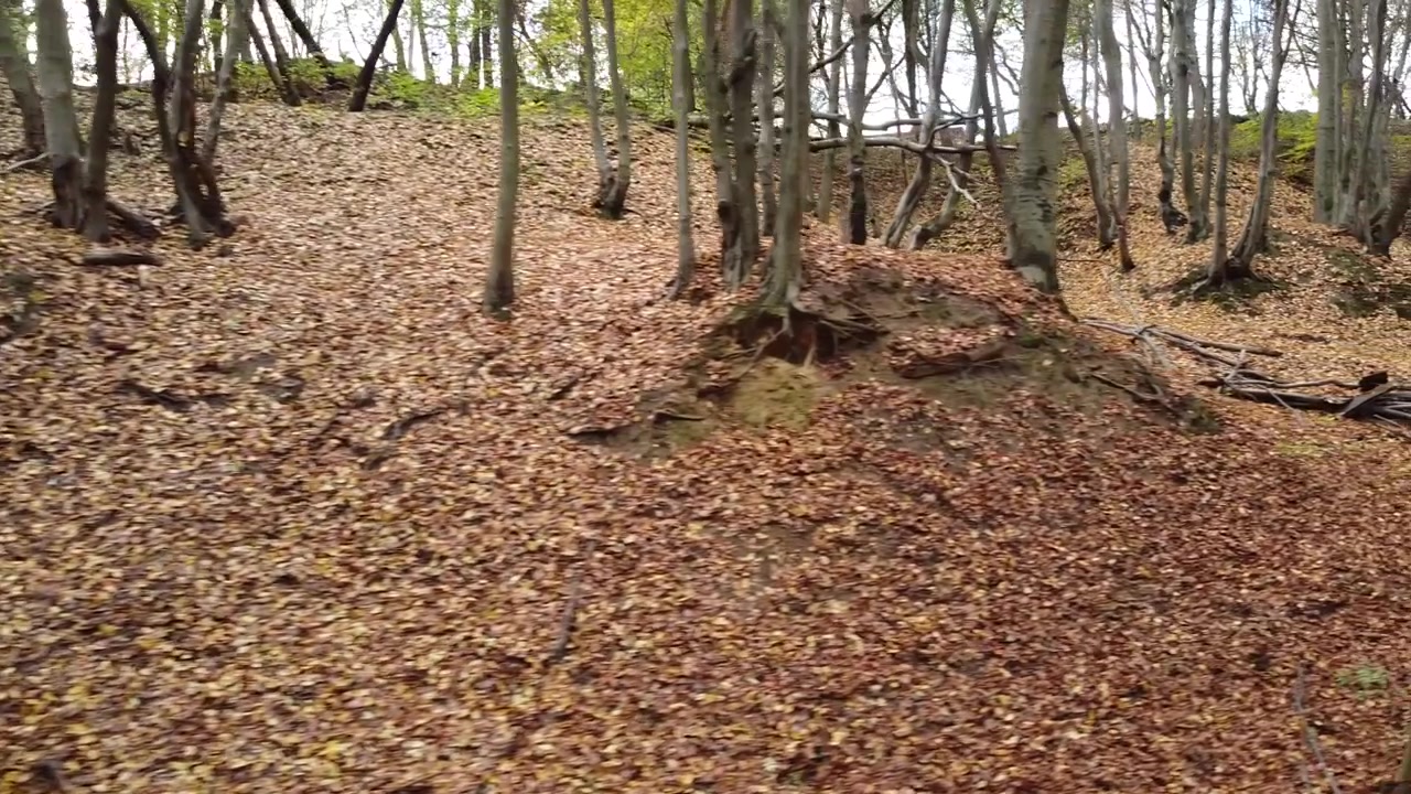 Parque de outono em novembro