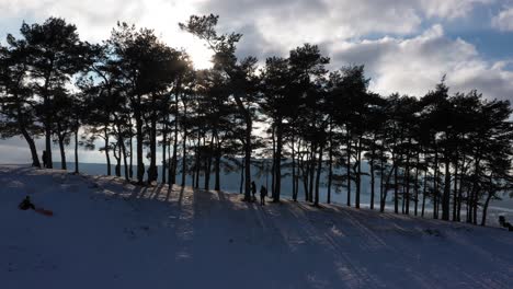 Aerial-flying-sideways-alongside-forest-and-trees-outline-and-shadows-in-amazing-winter-wonderland-landscape-with-snow-covered-mountains-and-sunshine-in-Swabia,-Germany