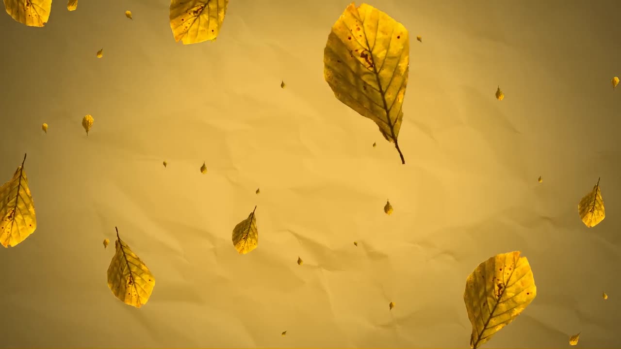 노란색 텍스처 종이 배경 위에 떨어지는 노란색 가을 잎의 애니메이션