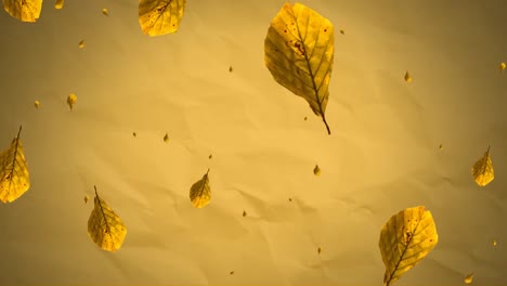 animation of yellow autumn leaves falling over yellow textured paper background