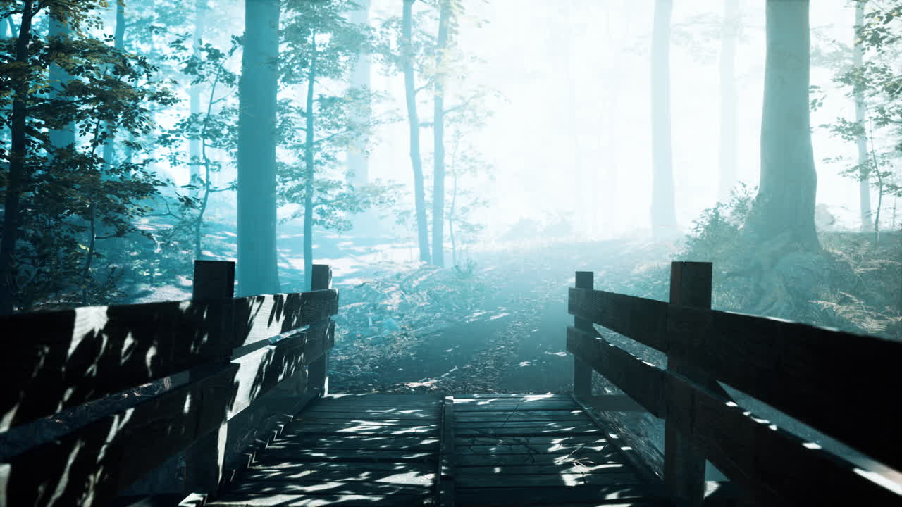 강 이 있는 숲 으로 가는 나무 다리