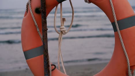 lifebuoy. lifebuoy weighs on the sea background