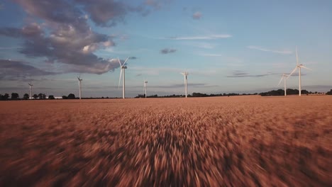 Fast-moving-low-angle-drone-shot-moving-forwards-towards-wind-turbines-over-a-field-during-a-beautiful-golden-hour-sunset-in-Bedfordshire,-uk-on-a-sunny-summers-day