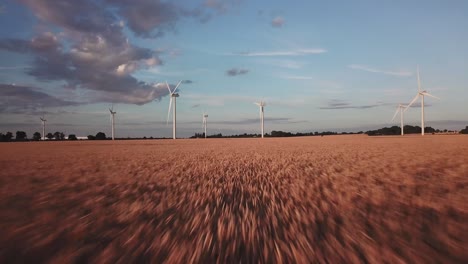 disparo de drones de ángulo bajo en movimiento rápido que avanza hacia turbinas eólicas sobre un campo durante una hermosa puesta de sol de la hora dorada en bedfordshire, reino unido en un día soleado de verano