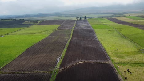 Aerial-Drone-Panning-Across-Farmland-El-Pedregal-neighborhood,-Cantón-Mejía,-Province-of-Pichincha,-Ecuador