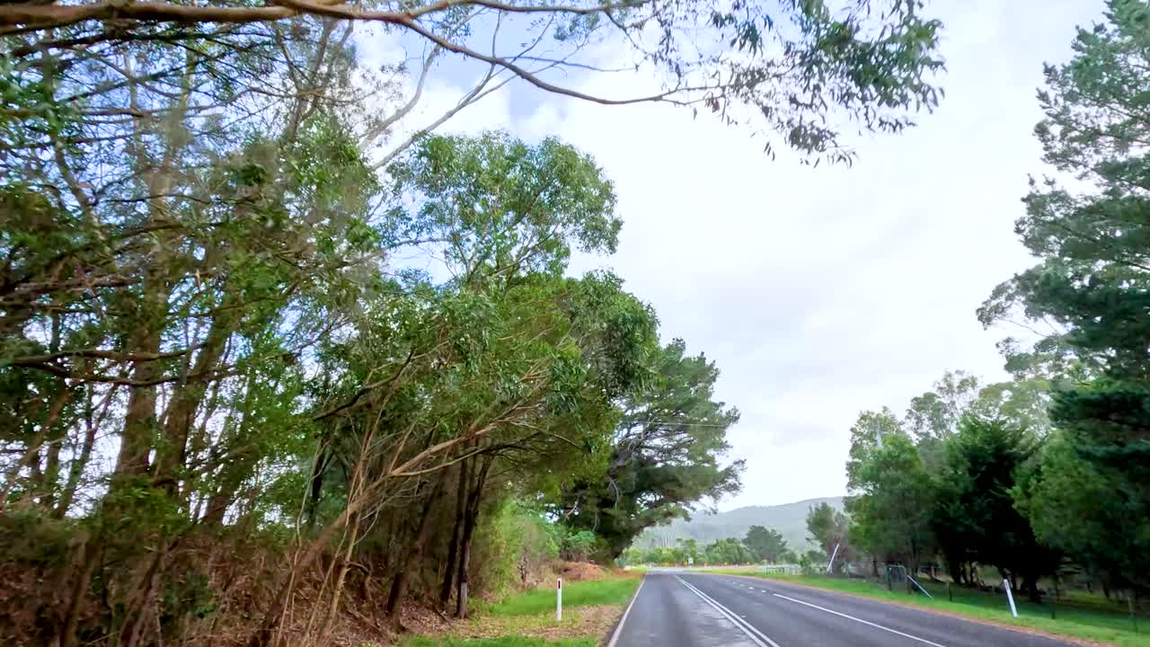 그레이트 오션 로드를 따라 조용한 드라이브, 푸른 숲과 광활한 하늘을 보여주는 자연의 낮빛 아래