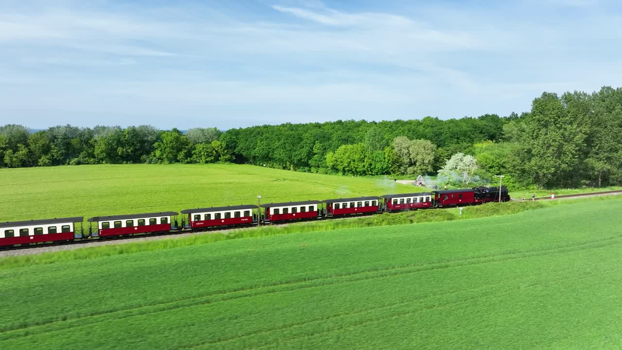 증기 열차가 숲의 방향으로 이동합니다.