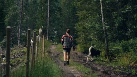 rear of a man walking with his dog on a trail