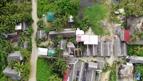 village with roads and tropical trees against sea