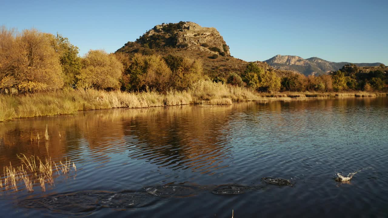 un pájaro garza sentado en un lago, rodeado de hierba seca y montañas