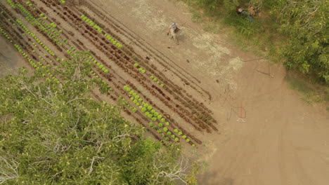 Vista-Aérea-De-Los-Agricultores-Que-Preparan-Una-Línea-De-Surcos-En-Una-Superficie-En-Una-Ubicación-Rural