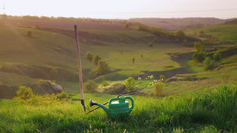 a picturesque place where there is a shovel and a watering can for irrigation