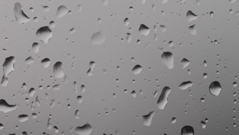 raindrops on the windows glass