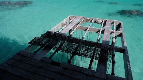 un muelle de madera que funciona como una granja de perlas negras en tahití, polinesia francesa