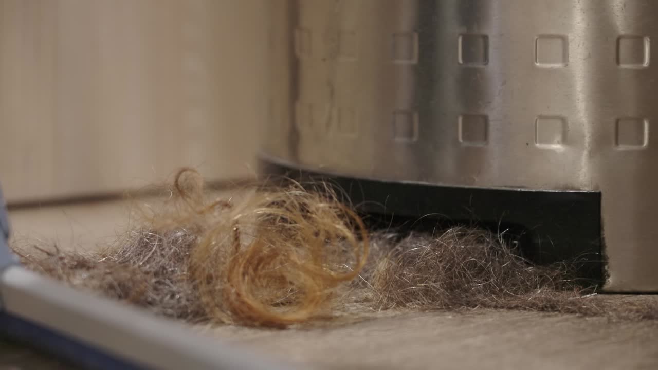 미용실에서 바닥에 있는 머리카락이 정지된 진공청소기에 빨려 들어갑니다.