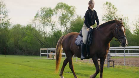 woman riding horse in a field