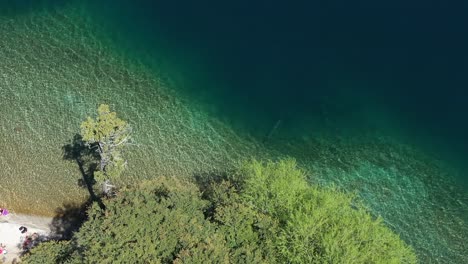 Aéreo-De-Arriba-Hacia-Abajo-De-La-Hermosa-Orilla-Del-Lago-Epuyen-Con-Agua-Transparente-Y-Copas-De-Los-árboles,-Patagonia-Argentina