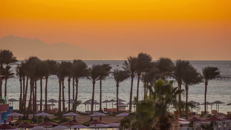 el amanecer dorado el atardecer el lapso de tiempo el mar rojo el balneario la playa las palmeras en el viento