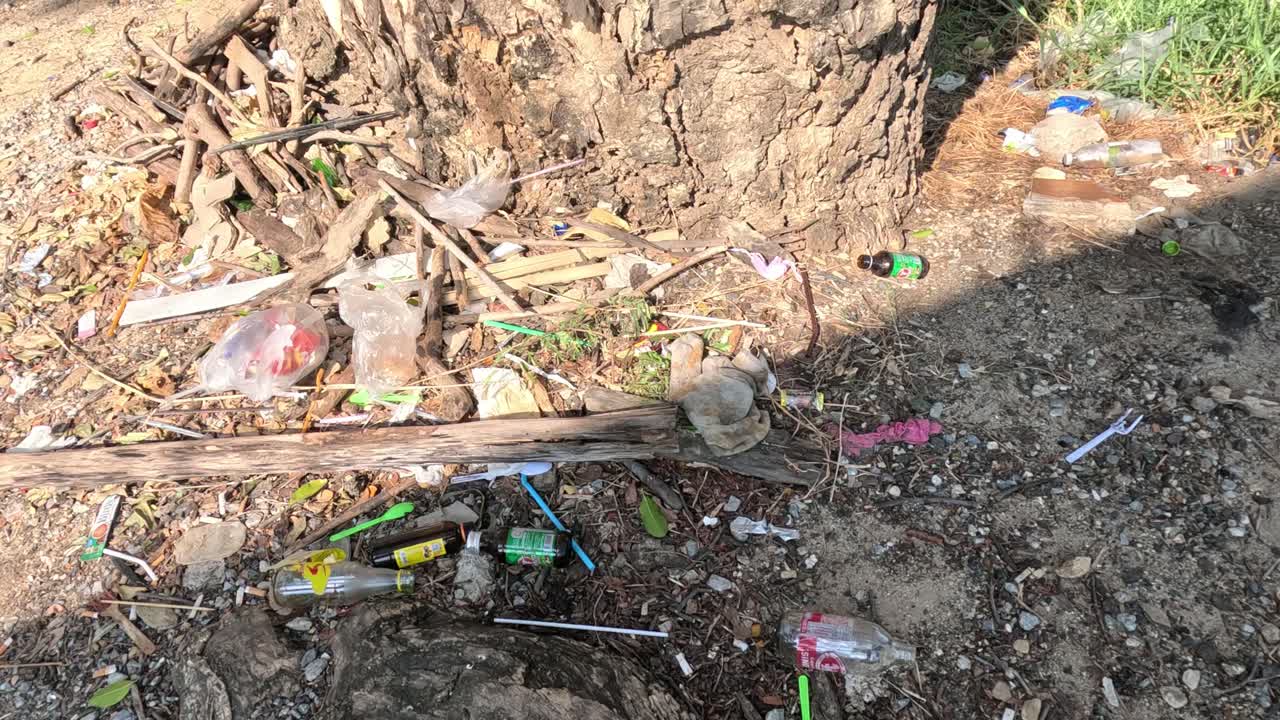 progresión de la descomposición de los residuos orgánicos y plásticos