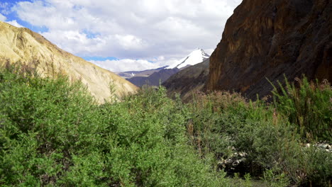 Tiro-Inclinado-Hacia-La-Alta-Montaña,-Kongmaru-La-Con-Un-Pico-Nevado-De-árboles-Verdes-En-Un-Valle-En-Un-Día-Soleado