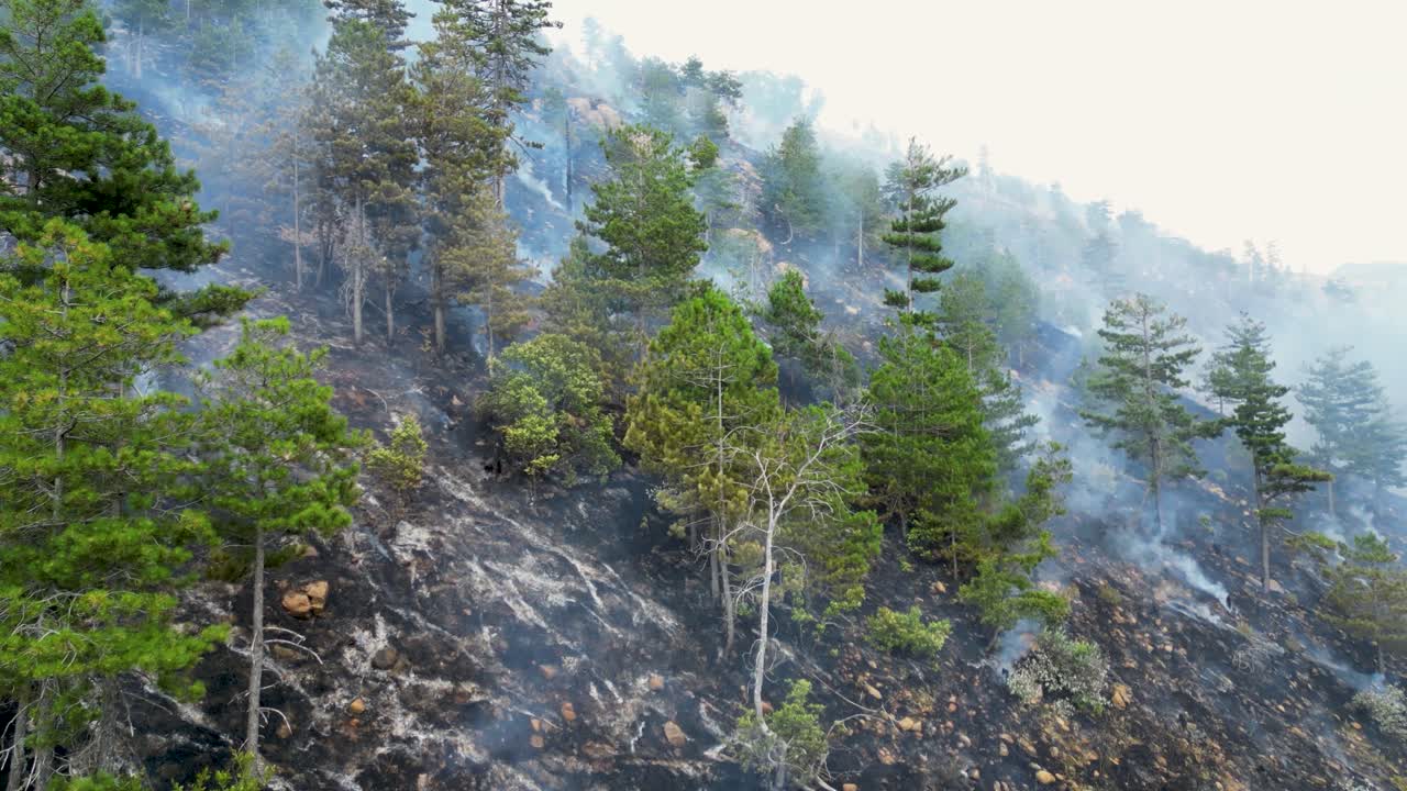 Aerial View of Wildfire Burning on Mountainside