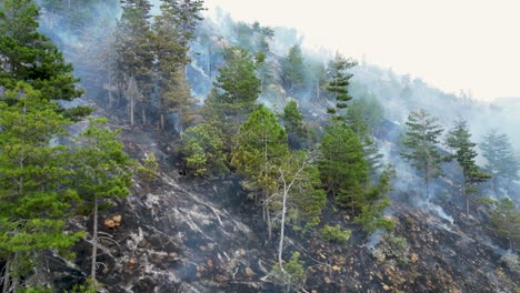 aerial view of wildfire burning on mountainside