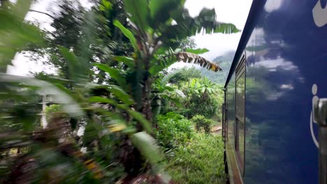 pov of lush green landscape of rural sri lanka from an open train door.