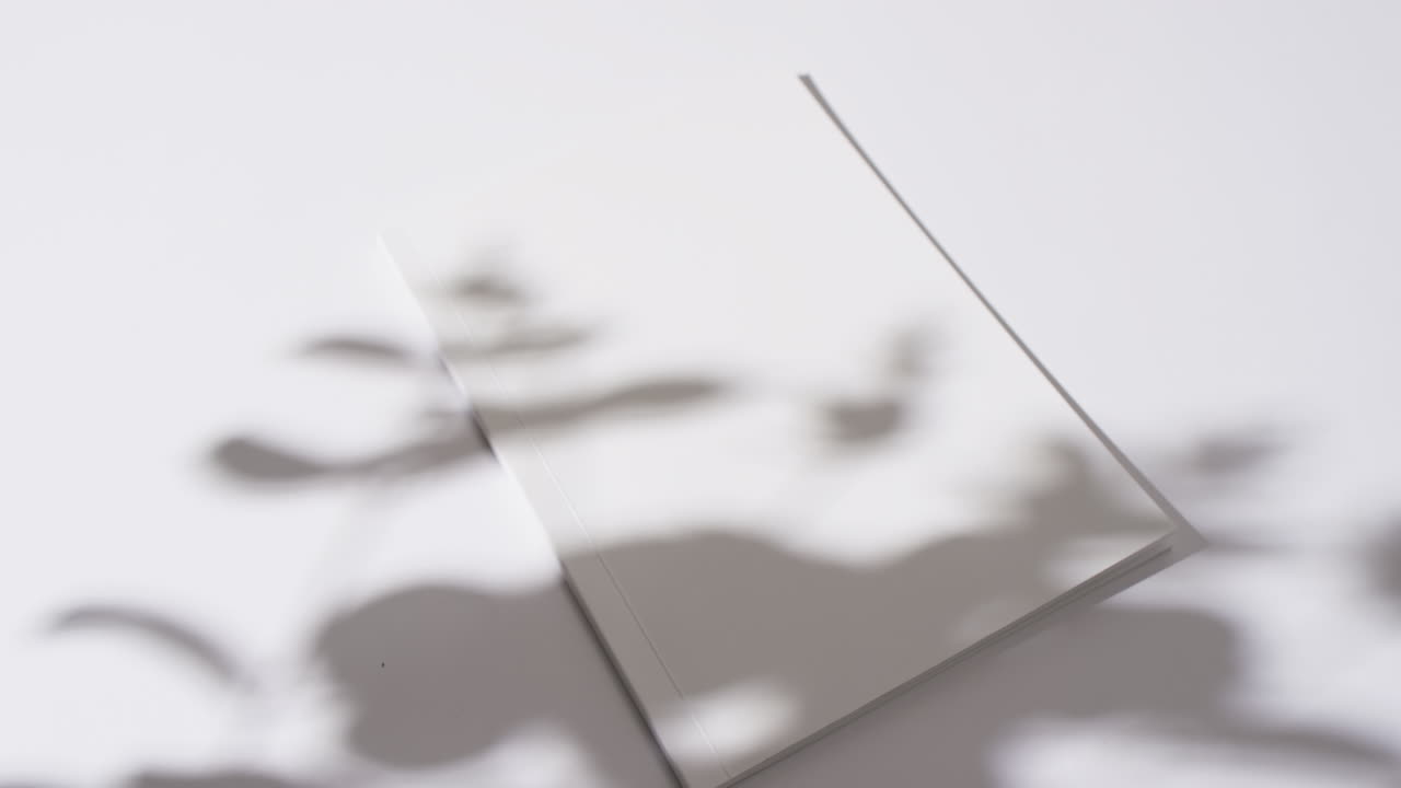 색 배경에 빈  페이지와 복사 공간을 가진 책 위에 식물의 그림자의 비디오