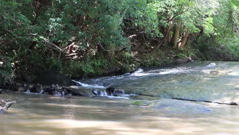 brook cascading over a large rock in the woods