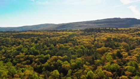 pan left to right over tree tops in upstate new york, autumn