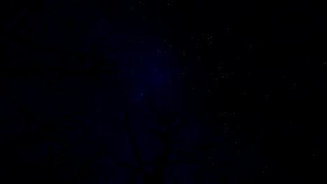 looking up through a cirlce of dead trees with full moon against starry sky, timelapse night to day, 4k