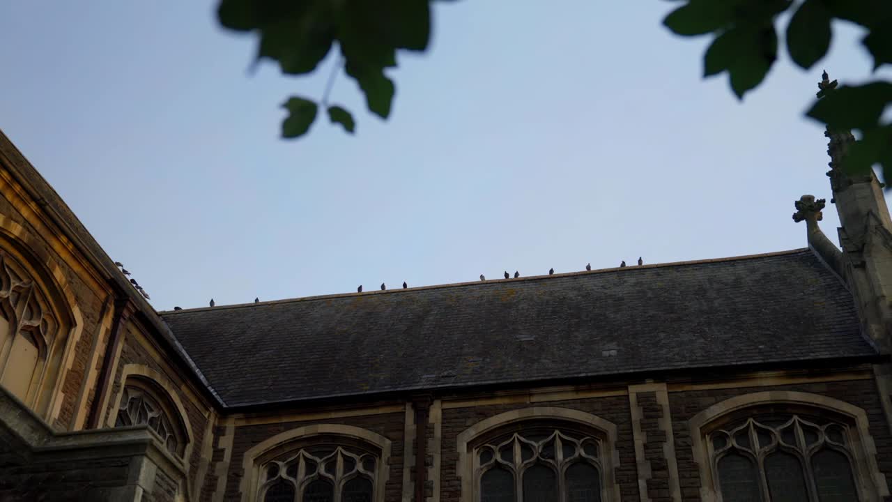 un grupo de palomas se sentó en el techo de una iglesia en cardiff