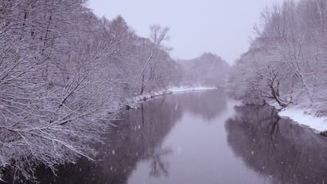 winter snowfall in beautiful nature reserve of niebieskie zrodla, poland