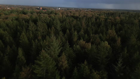 Vuelo-De-Drones-Sobre-Un-Denso-Bosque-Siempre-Verde-Al-Atardecer