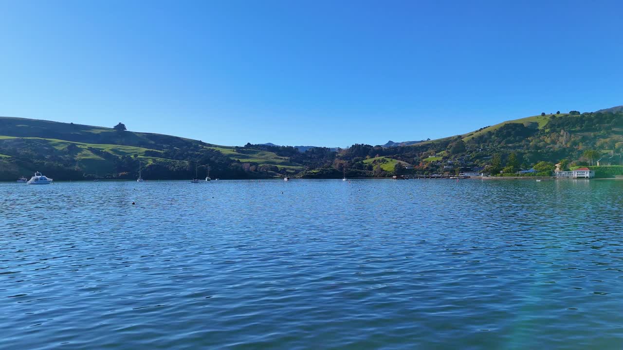 Calm waters and rolling hills under clear blue skies in Akaroa, New Zealand. Captured with steady camera, showcasing natural beauty