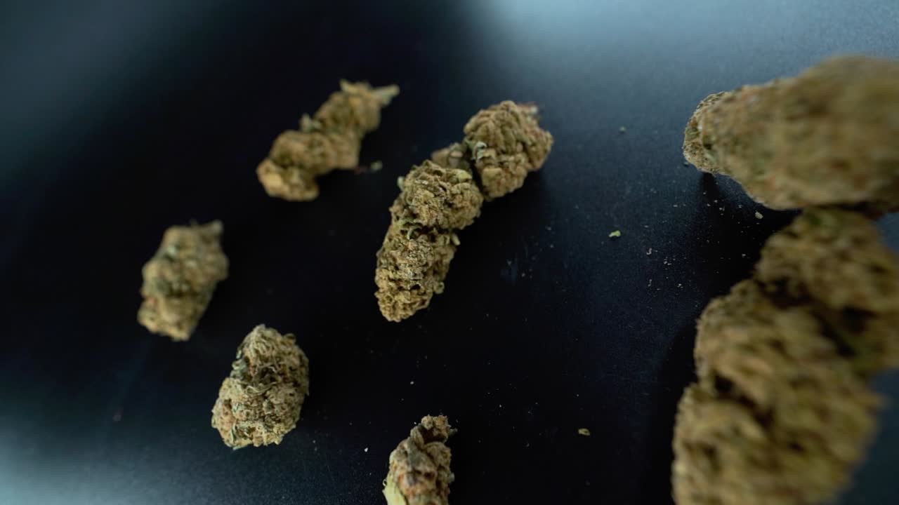 A close up detailed crane moving forward shot above a cannabis plant, marijuana flower hybrid strains, Indica and sativa, 120 fps slow motion Full HD, cinematic studio lighting, LED lights