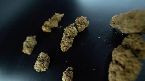 un primer plano detallado de una grúa moviéndose hacia adelante disparado por encima de una planta de cannabis, cepas híbridas de flores de marihuana, indica y sativa, cámara lenta de 120 fps en alta definición, iluminación de estudio cinematográfico, luces led