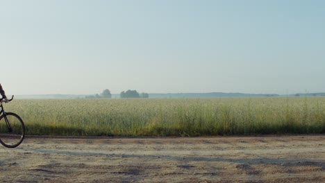 rural morning landscape with cyclist