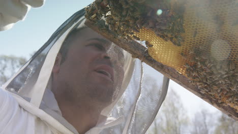 beekeeping - beekeeper inspecting a frame, low angle close up in slow motion