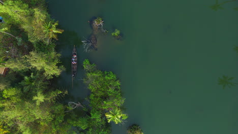 drone shot top angle view panoramic video of coconut farm trees coastal area coastline tropical country india kerala natural scenery backwaters lagoon