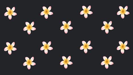 animation of lipstick over flowers on black background