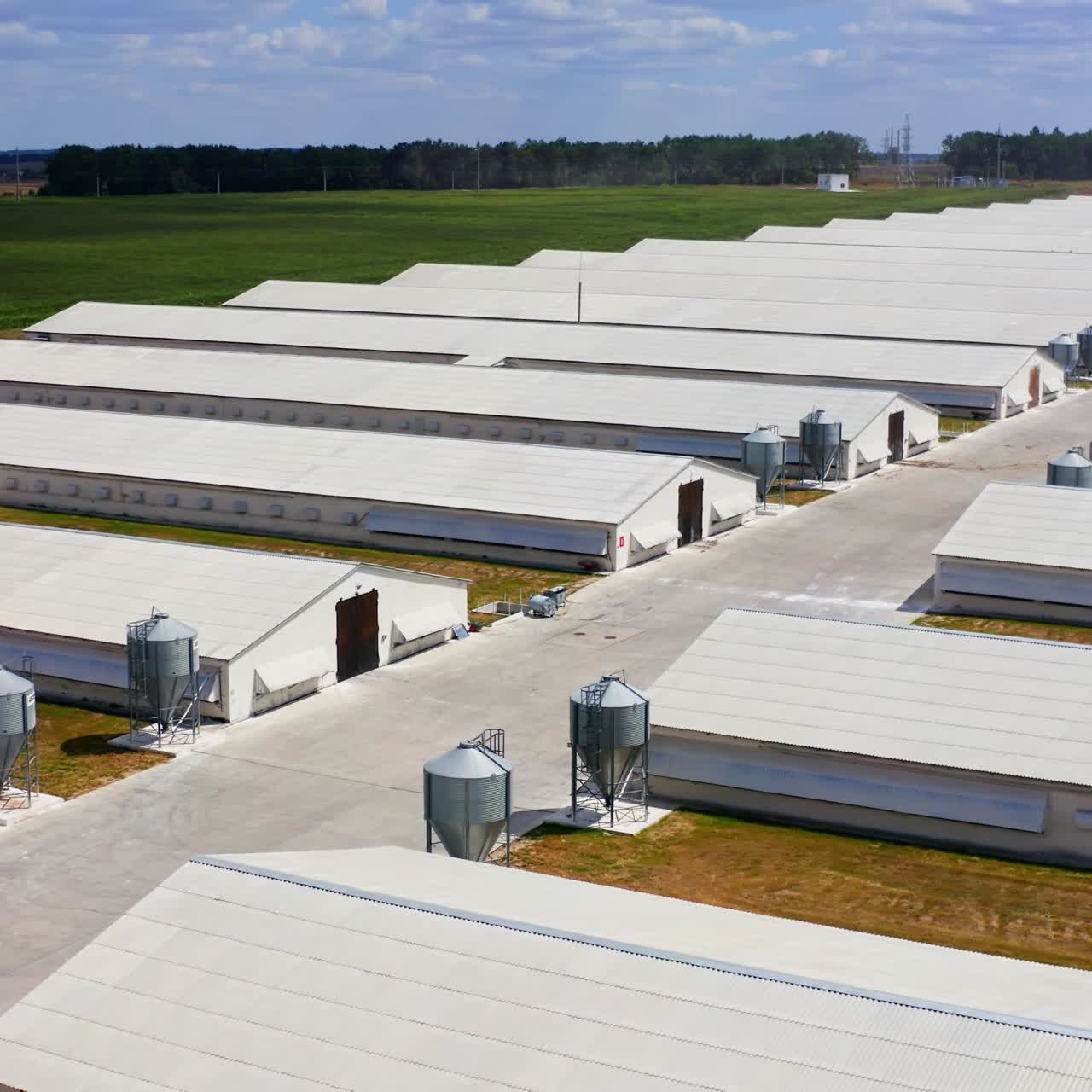 Farming facilities in rural area. Poultry farm for cattle growing. New and modern warehouses for agricultural needs