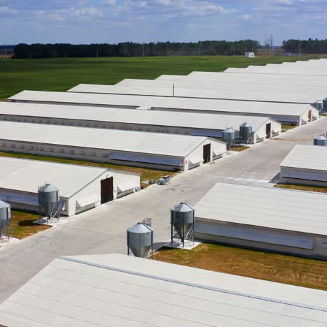 farming facilities in rural area. poultry farm for cattle growing. new and modern warehouses for agricultural needs