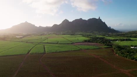 Der-üppige-Peter-Both-Mountain-Bei-Sonnenaufgang-Mit-Leuchtend-Grünen-Feldern,-Luftaufnahme