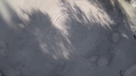 top-down drone view of hot bubbling mud with soft shadows of the surrounding trees