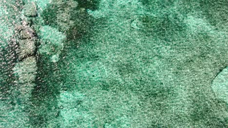 una vista aérea de arriba hacia abajo ascendiendo de las aguas cristalinas de cozumel en méxico