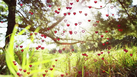 Hearts-falling-animation-over-sunny-forest-floor-with-green-grass-and-trees