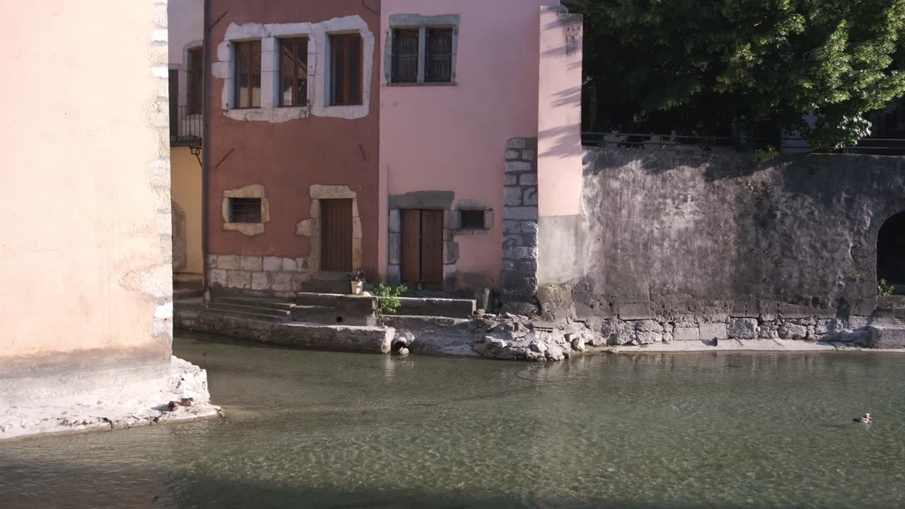 aguas tranquilas en el canal dentro de la ciudad vieja anexo con arquitectura medieval y vida silvestre - pato común en el agua